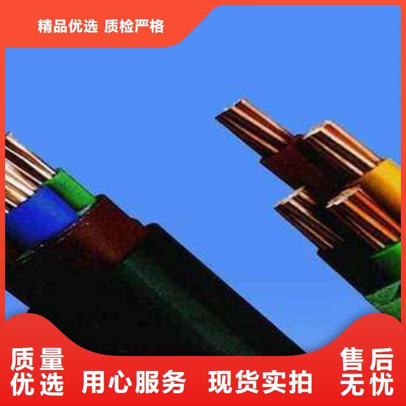 特种电缆_阻燃电缆厂家支持货到付清源头厂家经验丰富