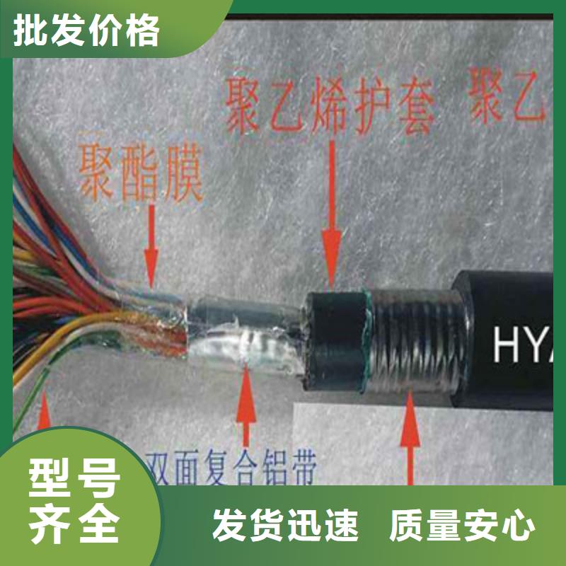 通信电缆控制电缆厂家案例同城制造商