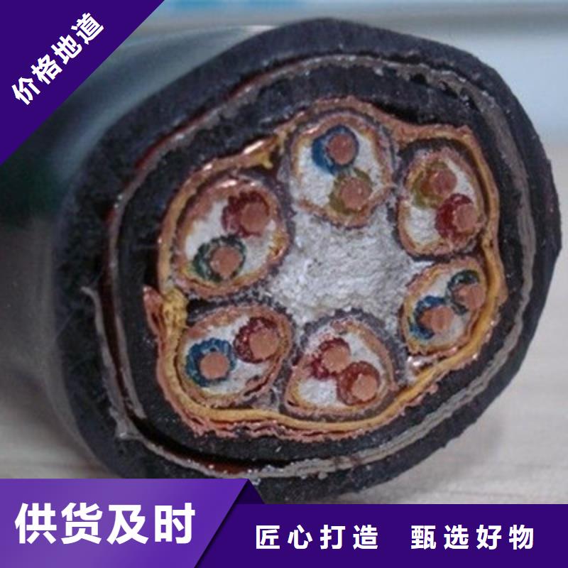 WDZ-DJYP2V22 低烟无卤计算机电缆4X2X0.75辖区内货源