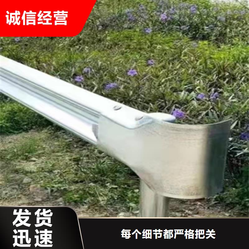 波形护栏,【高速开口栏网】质优价廉<当地>品牌