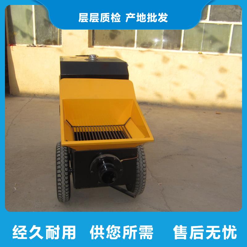 二次构造柱泵-【二次结构浇筑机】的图文介绍同城品牌