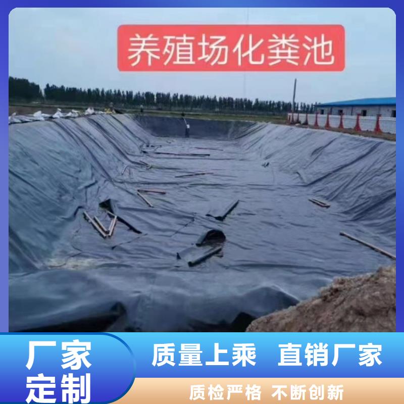 土工膜-HDPE土工膜批发价格实体诚信厂家