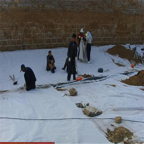 土工膜两布一膜同行低价