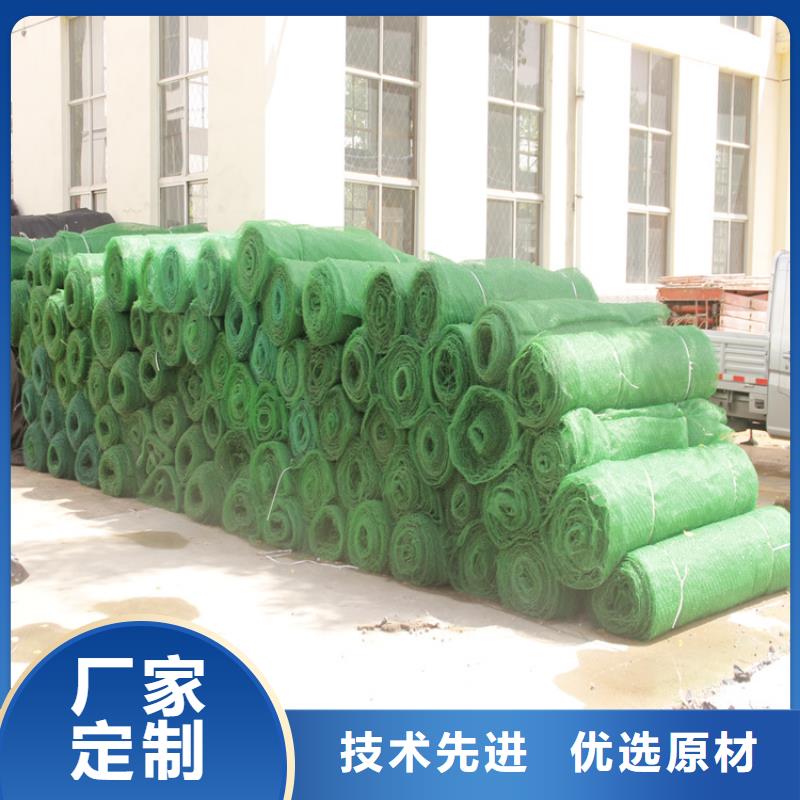 三维植被网土工布安心购同城生产商