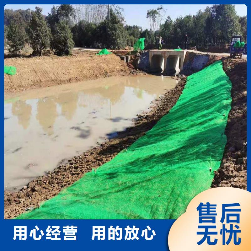 三维植被网【膨润土防水毯】对质量负责当地生产商
