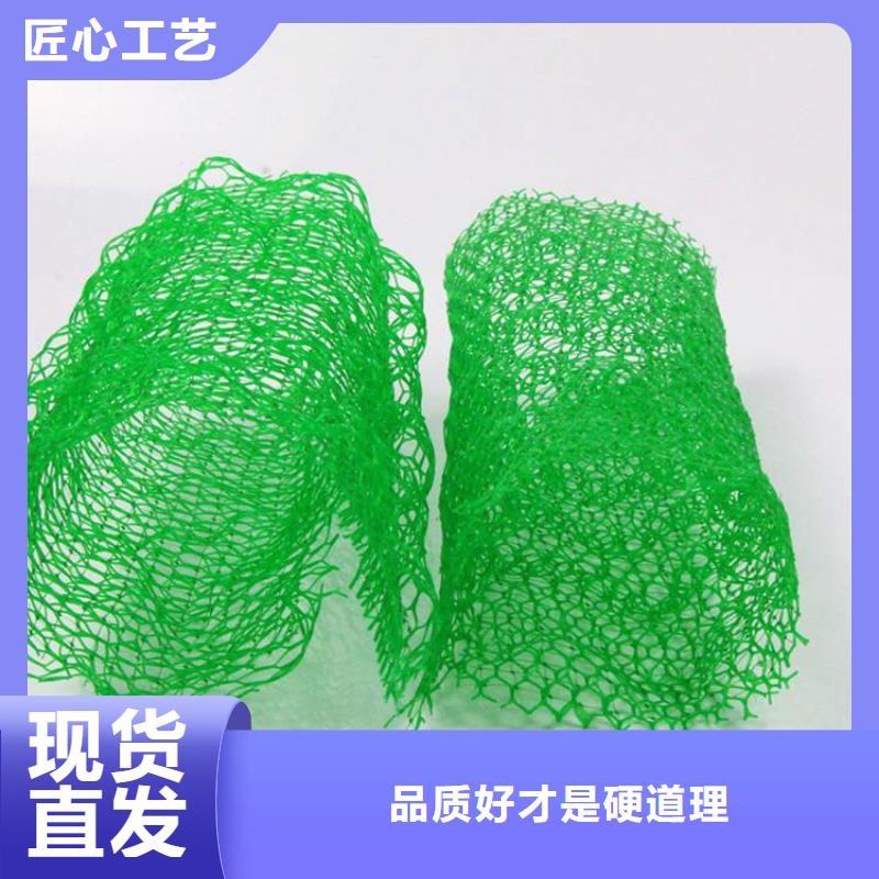 三维植被网软式透水管主推产品可定制