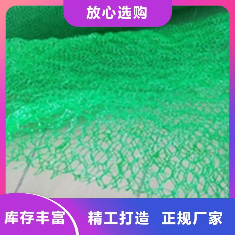 【三维植被网土工席厂家规格全】同城生产商