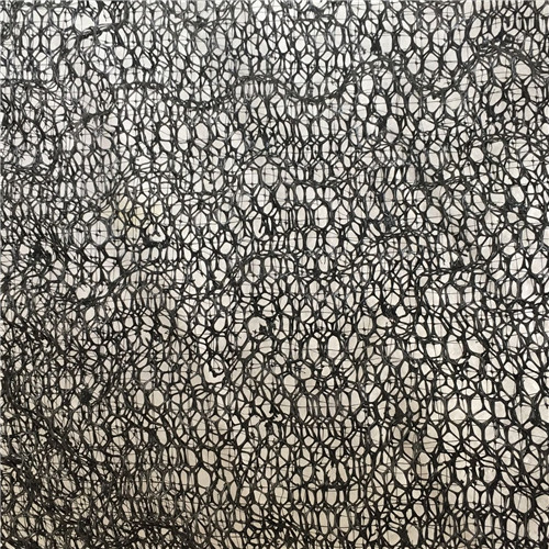 三维植被网,三维网垫专注产品质量与服务