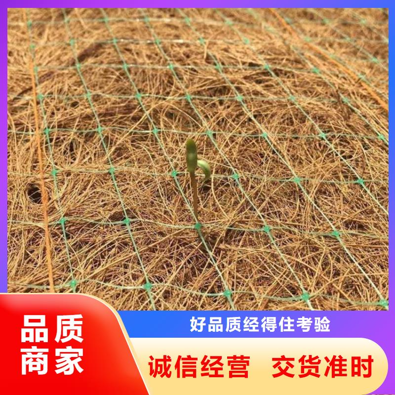 椰丝毯【防草布】质量好附近生产商