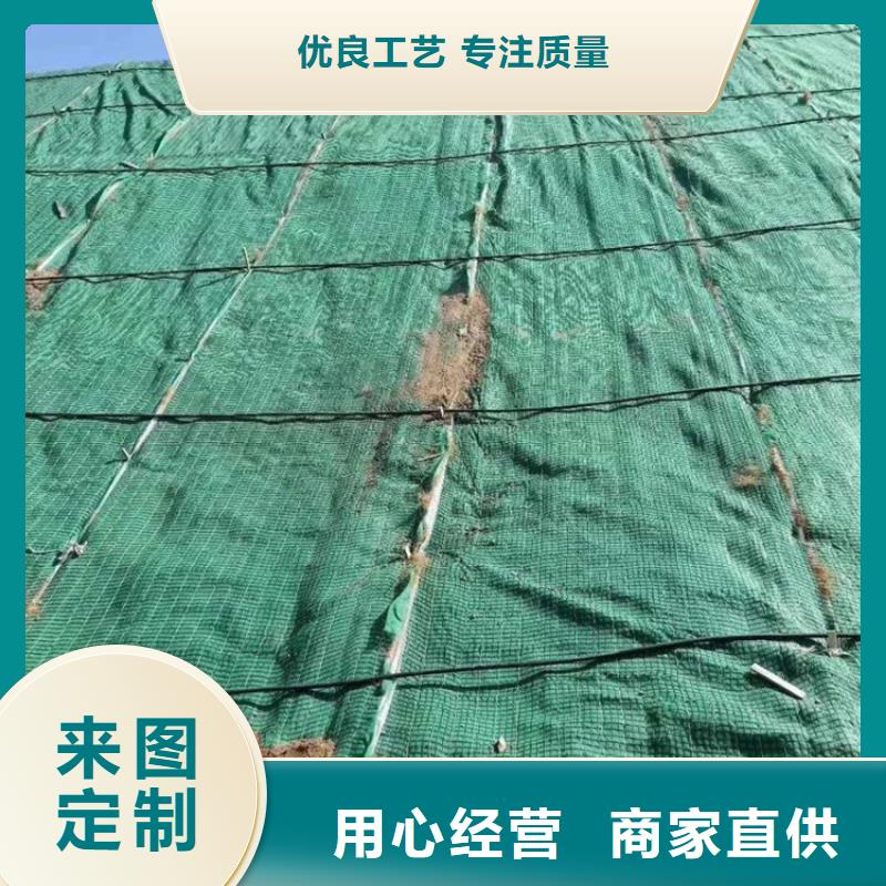 【椰丝毯HDPE土工膜源头厂家】当地公司