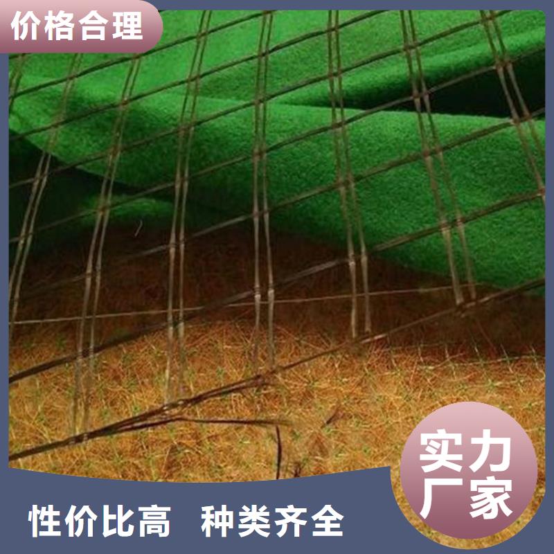 椰丝毯【植草格】极速发货用心做产品