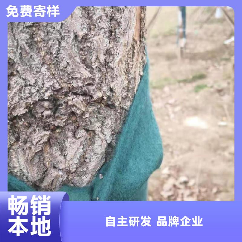 裹树布土工膜产地工厂精工制作