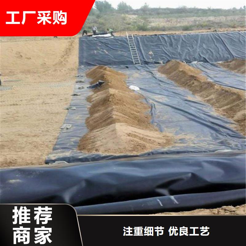 土工膜土工格栅厂家直销规格多样本地制造商