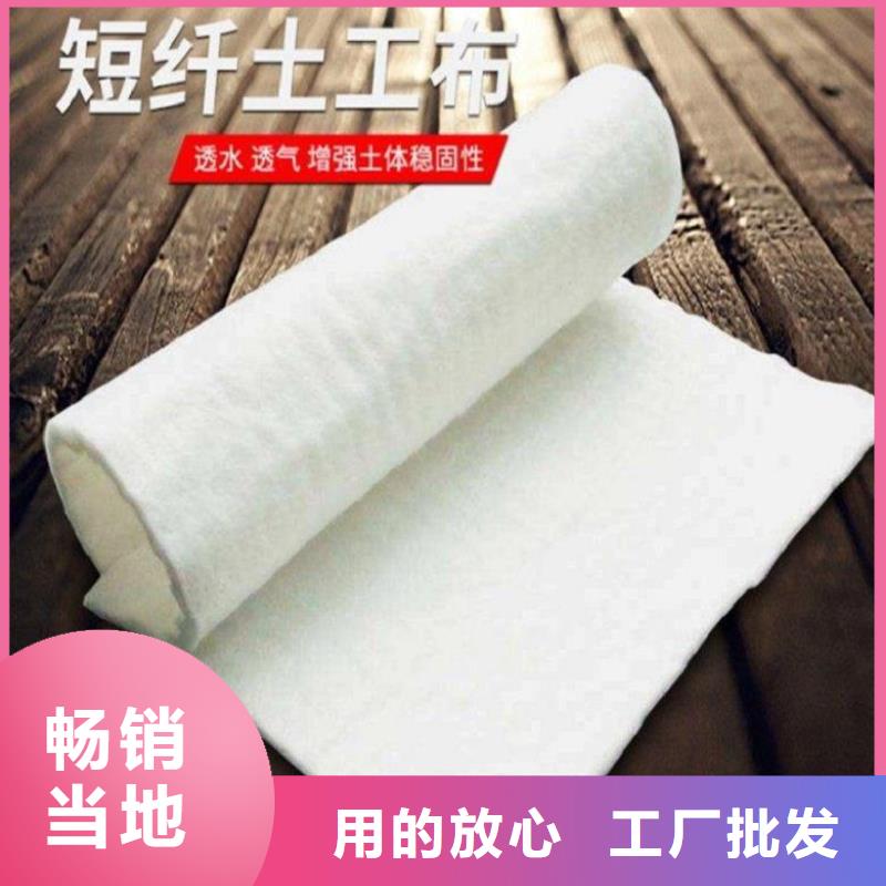【土工布-通风降噪丝网敢与同行比价格】拒绝中间商