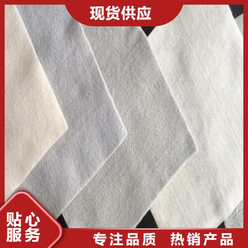 土工布土工膜让利客户当地生产商