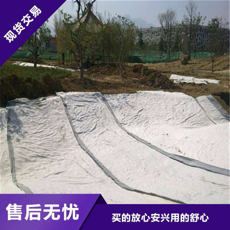 膨润土防水毯_拉筋带品牌大厂家优良工艺