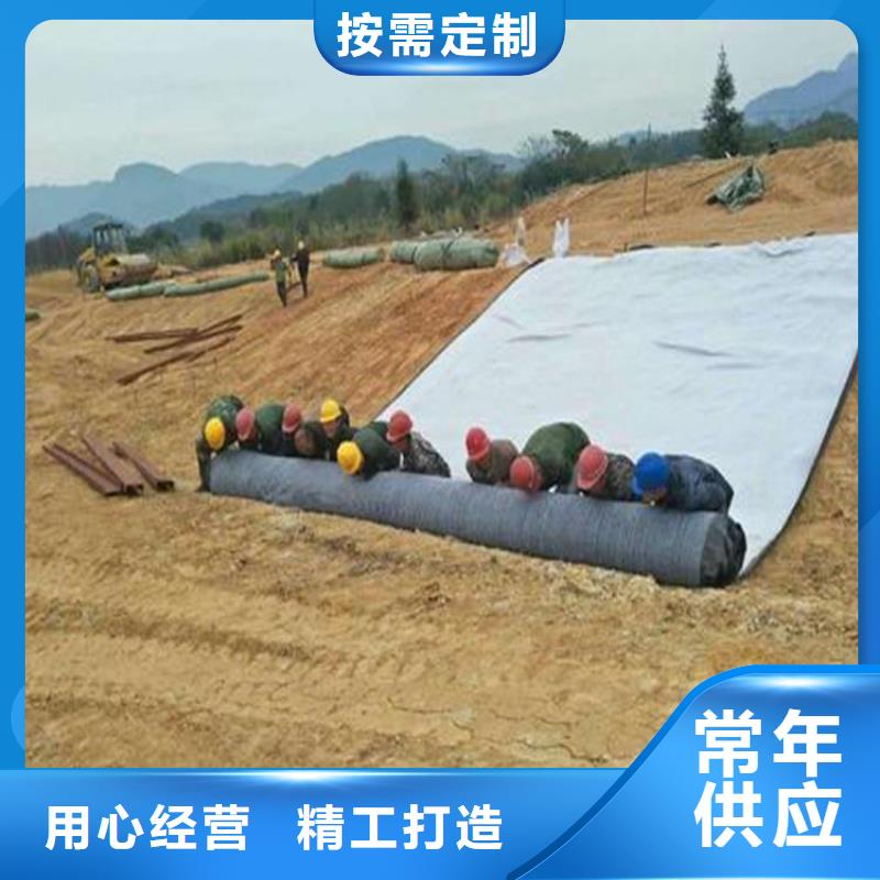 膨润土防水毯,【土工格栅】真实拍摄品质可靠本地制造商