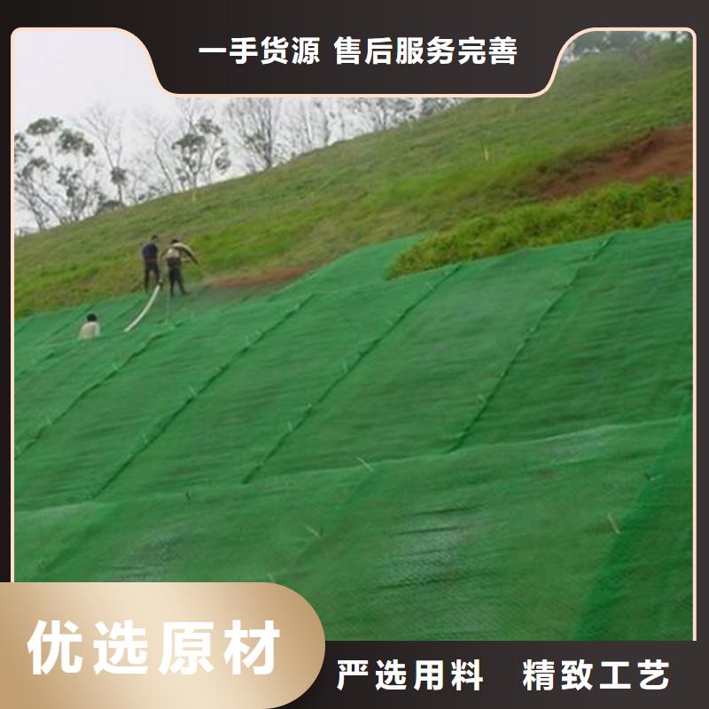 三维植被网【单向塑料土工格栅】每一处都是匠心制作高品质现货销售