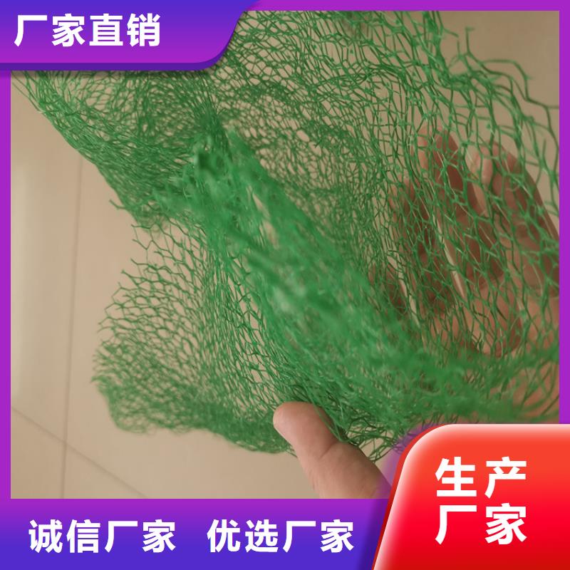 三维植被网土工格栅自产自销自有生产工厂