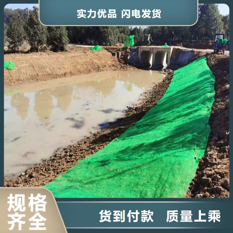 三维植被网【短纤无纺土工布】0中间商差价买的是放心