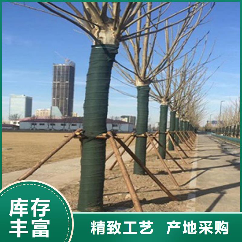 裹树布短纤无纺土工布厂家直销货源充足市场报价