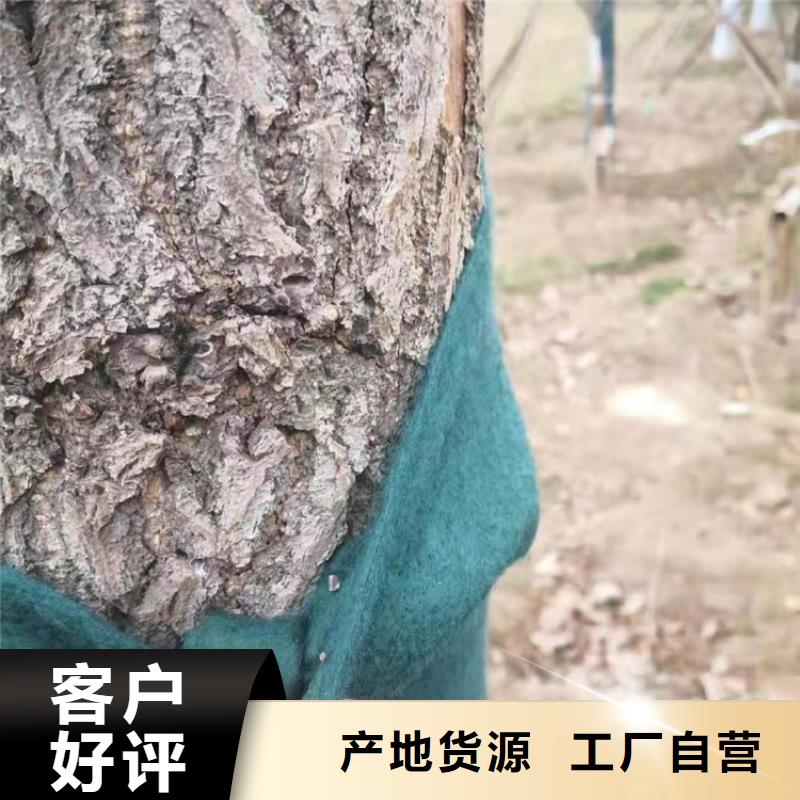 裹树布短纤无纺土工布现货批发同城制造商