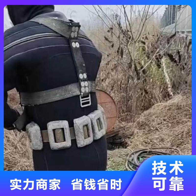 潜水员蛙人水中服务采购价格浪淘沙水工附近制造商