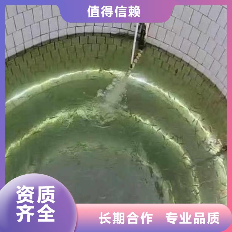 水下作业潜水员服务【模袋水下施工】快速响应本地公司