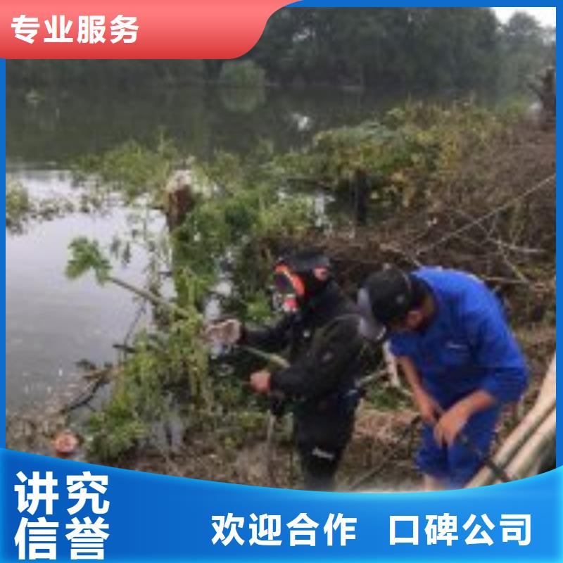 潜水摄像工程案例丰富