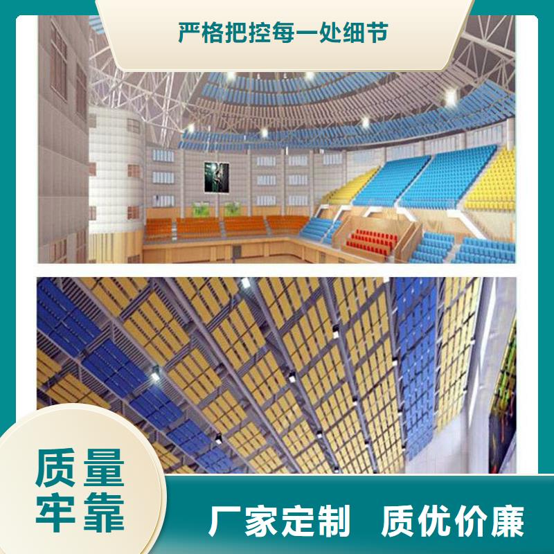 佛山市勒流街道多功能体育馆声学改造价格--2024最近方案/价格同城品牌