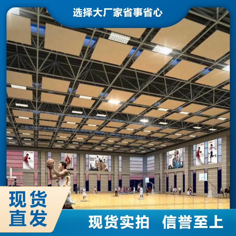 广东省佛山市荷城街道大型体育馆声学改造价格--2024最近方案/价格可接急单