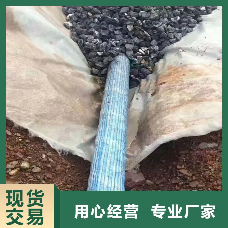 渗排水网垫30mm来厂考察价格【当地】制造商