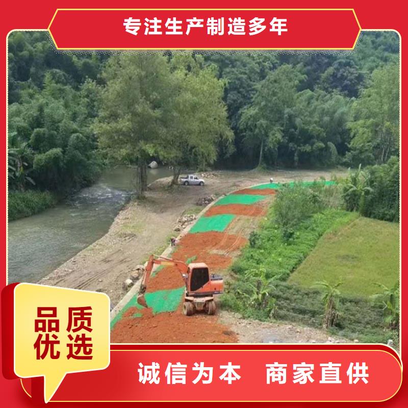 三维植被网铜片止水质量无忧本地生产商