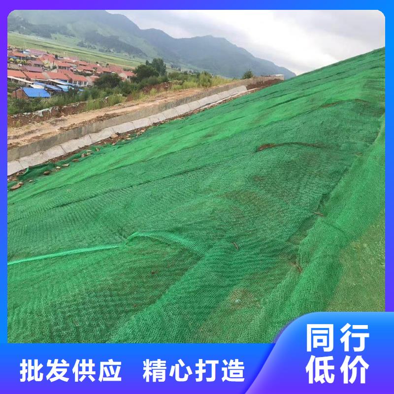 优选：三维植被网厂家本地生产商