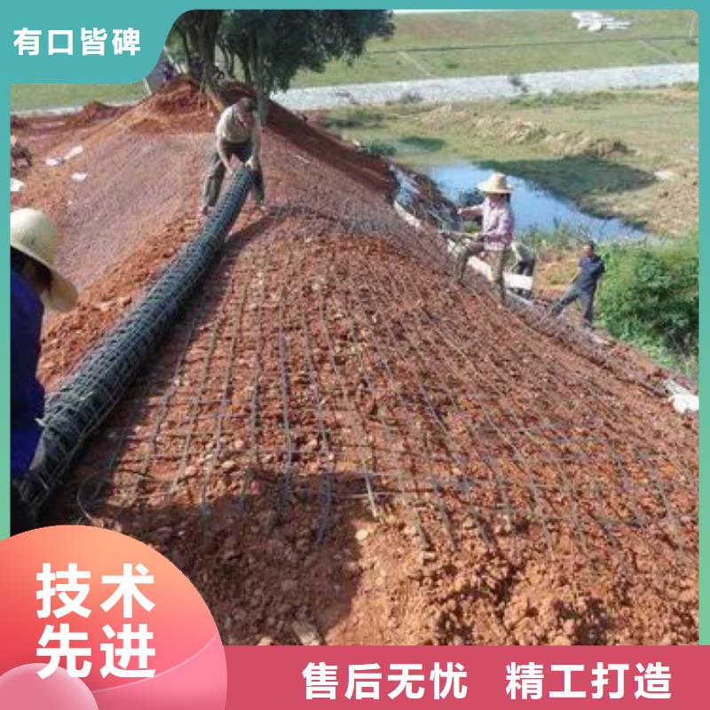 土工格栅土工膜源头工厂量大优惠本地生产厂家