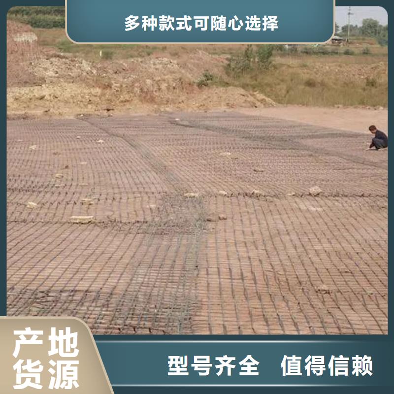 土工格栅规格欢迎电询价格同城公司