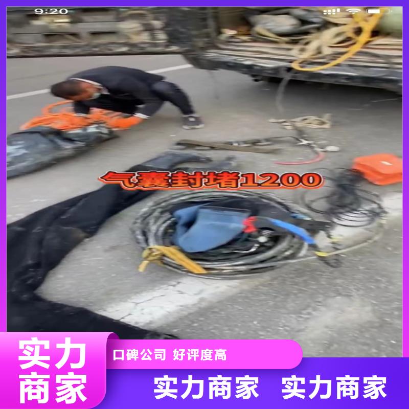 水下工程蛙人救援团队价格美丽2024公司推荐