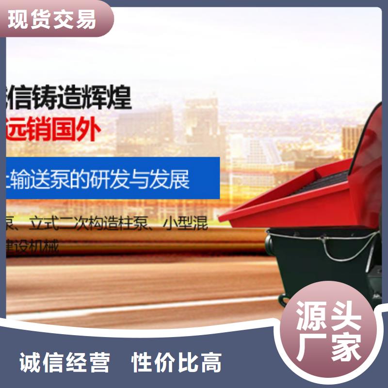 二次构造柱泵【小型二次构造柱泵】选择大厂家省事省心安装简单