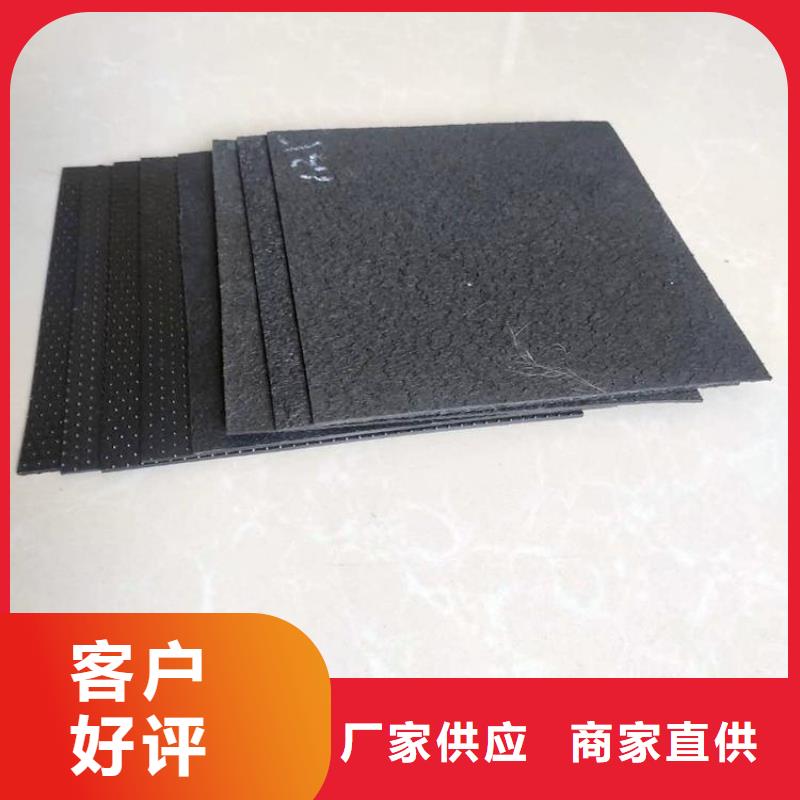 土工膜_双向塑料土工格栅工厂自营售后服务完善