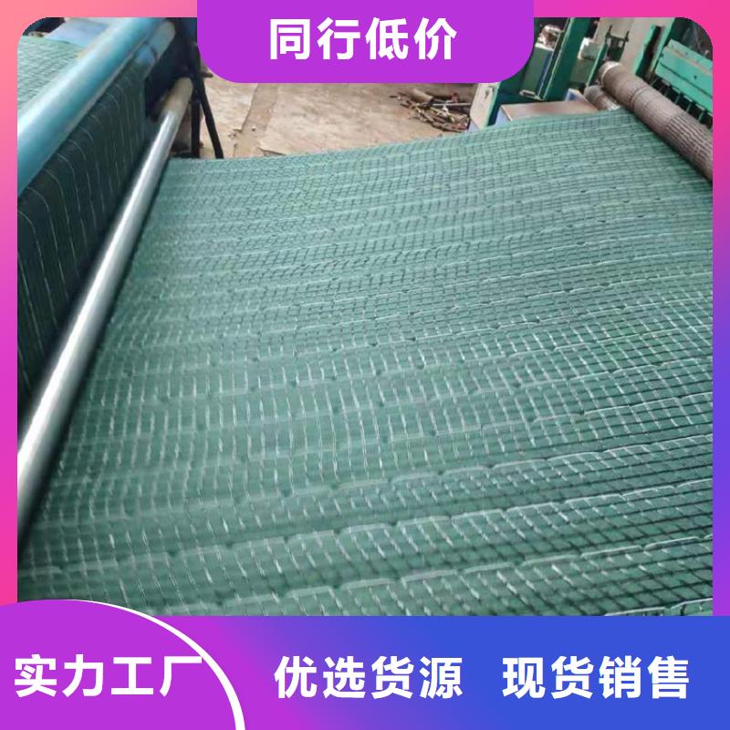 椰丝毯双向土工格栅专业生产设备厂家