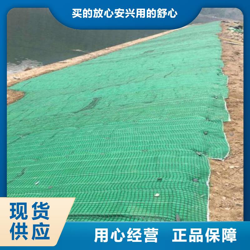 椰丝毯-土工材料品质过硬匠心打造