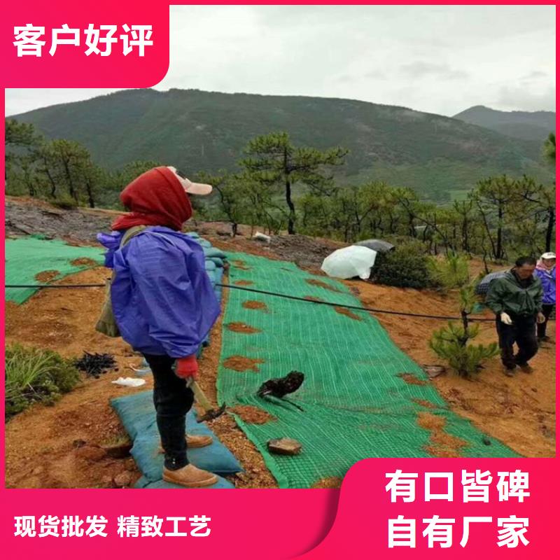 椰丝毯通风降噪丝网品质信得过适用场景