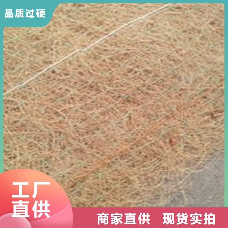 椰丝毯土工膜拥有核心技术优势同城公司