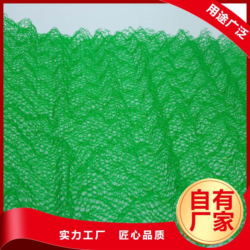 三维植被网防渗膜大厂家实力看得见海量现货直销