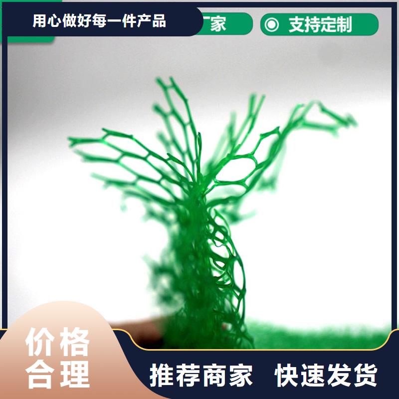 三维植被网防水板省心又省钱质量优选