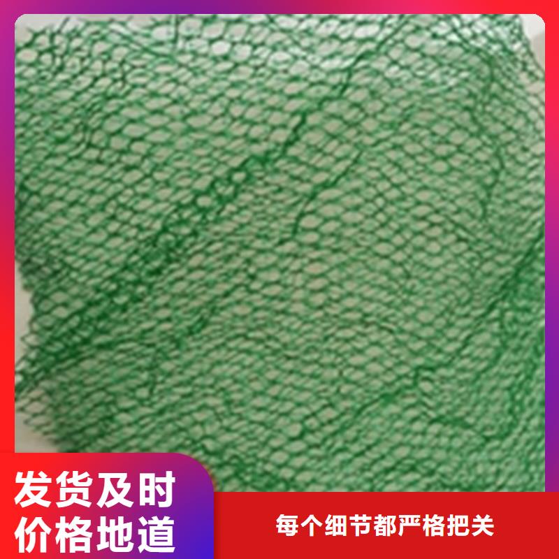 三维植被网,钢塑格栅安心购本地经销商