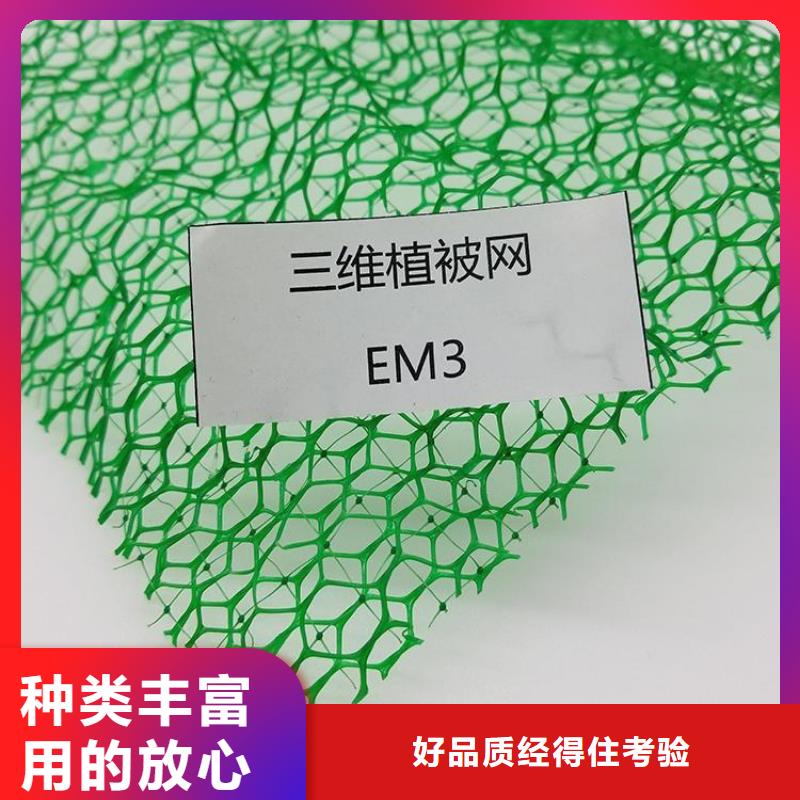 【三维植被网无纺布工艺成熟】敢与同行比价格