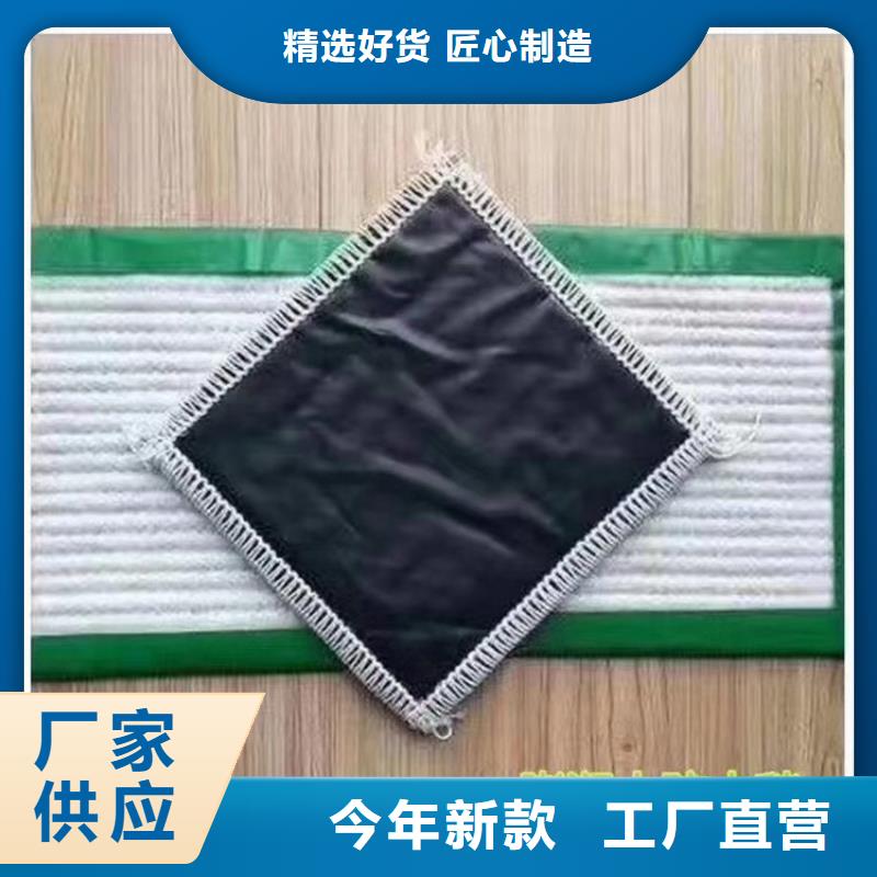 膨润土防水毯土工格栅量大更优惠N年专注