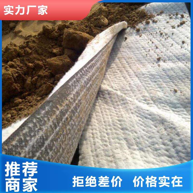 膨润土防水毯,土工膜优选厂家供货及时