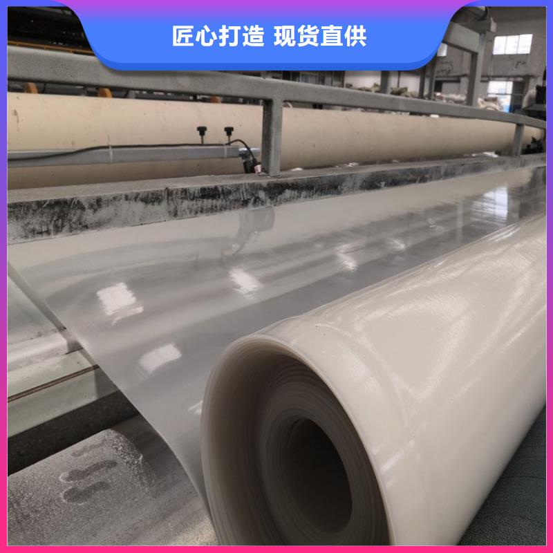 【防水板】_防渗膜品质做服务本地服务商